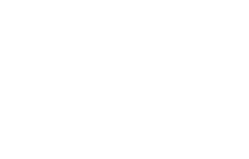 Free shipping on orders over 50 € within Germany